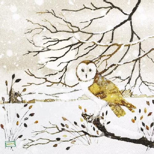 2 serviettes papier - les oiseaux-120