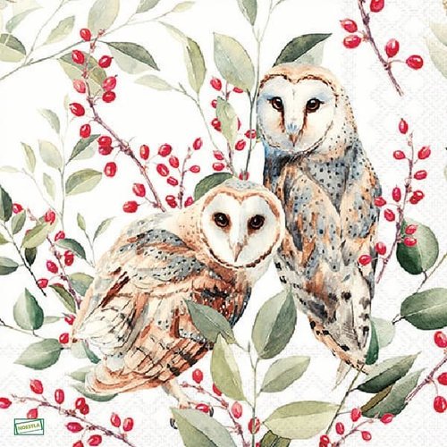 2 serviettes papier - les oiseaux-121