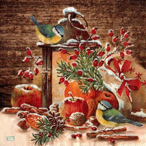 2 serviettes papier - les oiseaux-128
