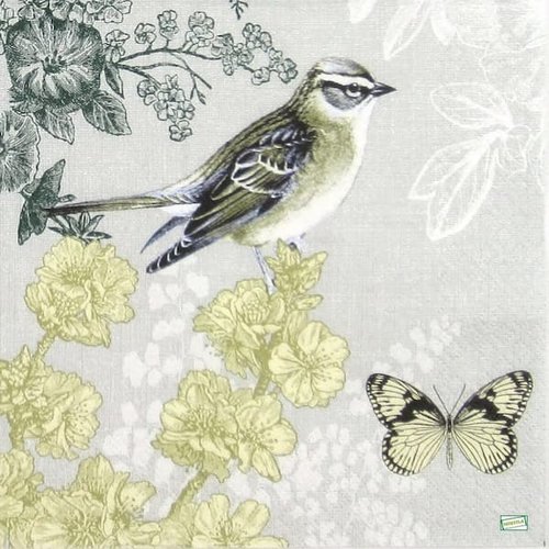 2 serviettes papier - les oiseaux-130
