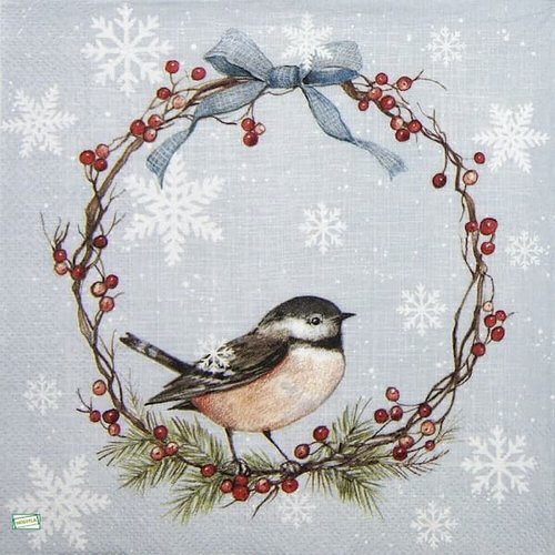 2 serviettes papier - les oiseaux-147
