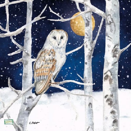 2 serviettes papier - les oiseaux-148