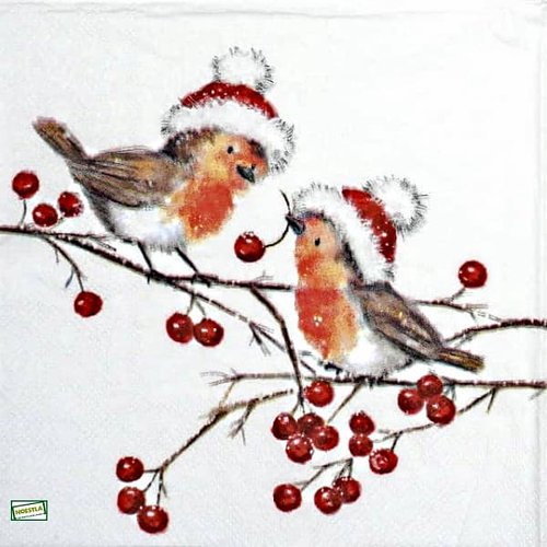 2 serviettes papier - les oiseaux-146