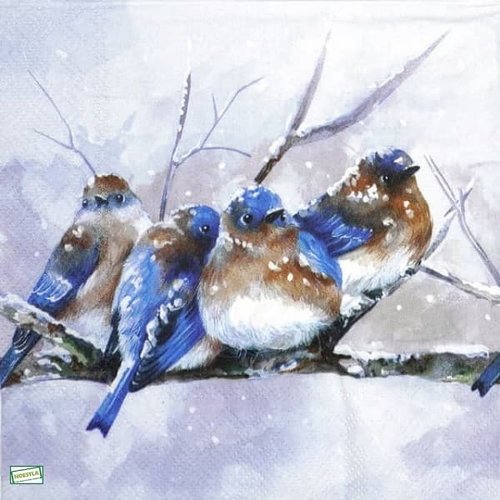 2 serviettes papier - les oiseaux-150