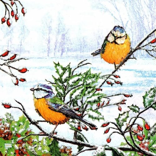 2 serviettes papier - les oiseaux-152