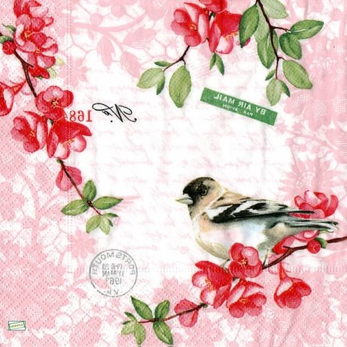 2 serviettes papier - les oiseaux-173