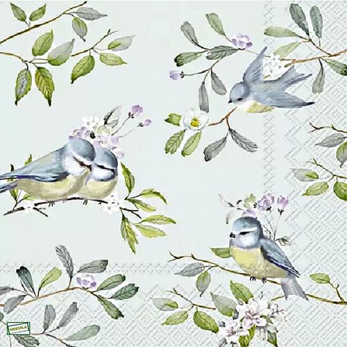2 serviettes papier - les oiseaux-49