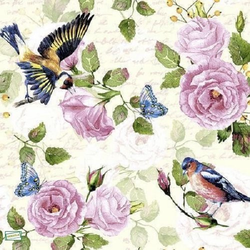 2 serviettes papier - les oiseaux-83