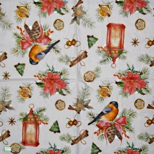 2 serviettes papier - les oiseaux-101