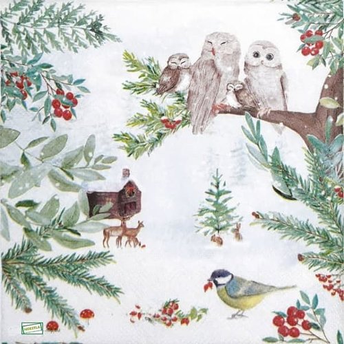 2 serviettes papier - les oiseaux-137