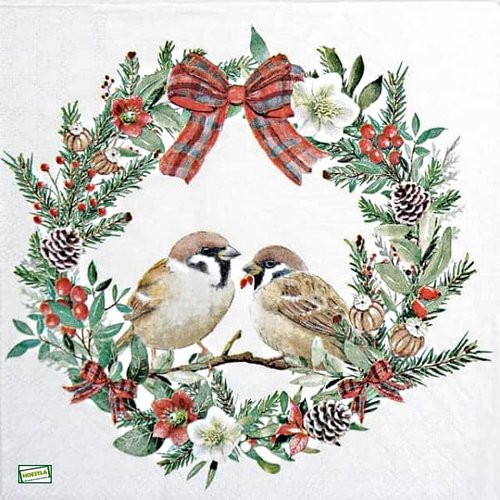 2 serviettes papier - les oiseaux-138