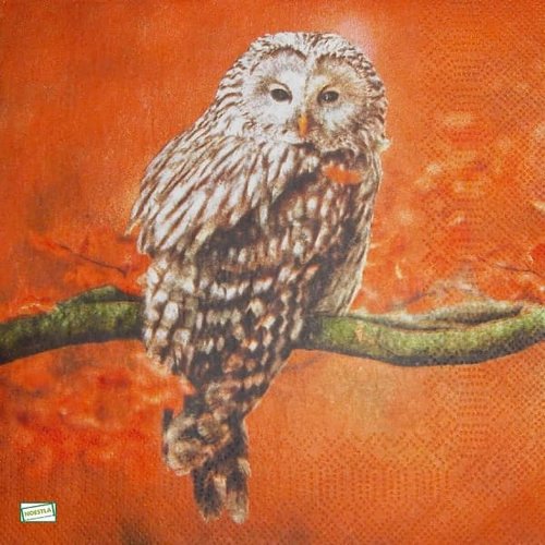 2 serviettes papier - les oiseaux-142