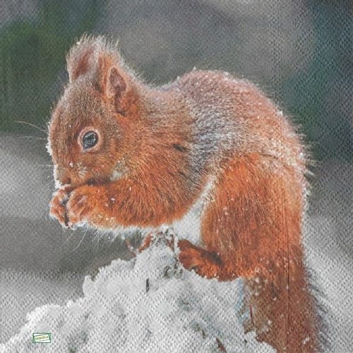2 serviettes papier -animaux bois -14