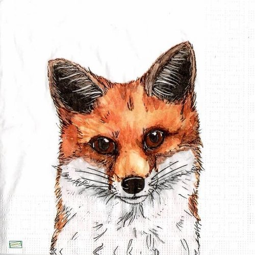 2 serviettes papier -animaux bois -15