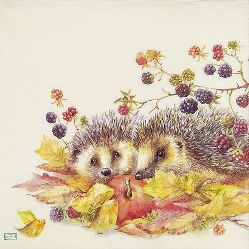 2 serviettes papier -animaux bois -16