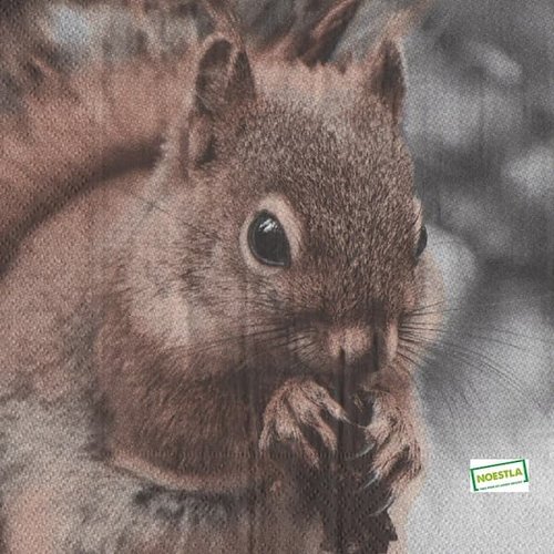 2 serviettes papier -animaux bois -47