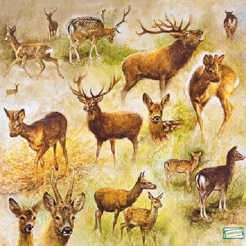 2 serviettes papier -animaux bois -78