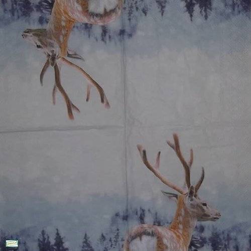 2 serviettes papier -animaux bois -120