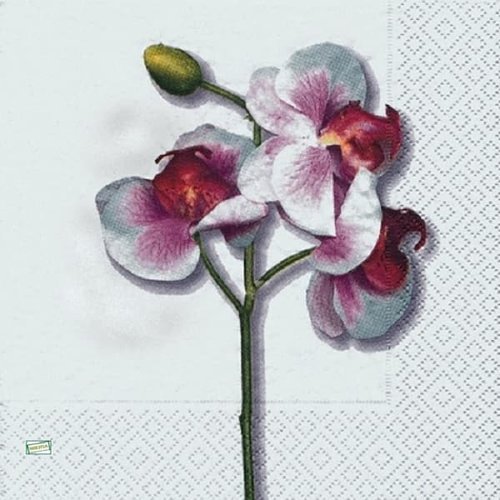 2 serviettes papier - orchidés lys -6
