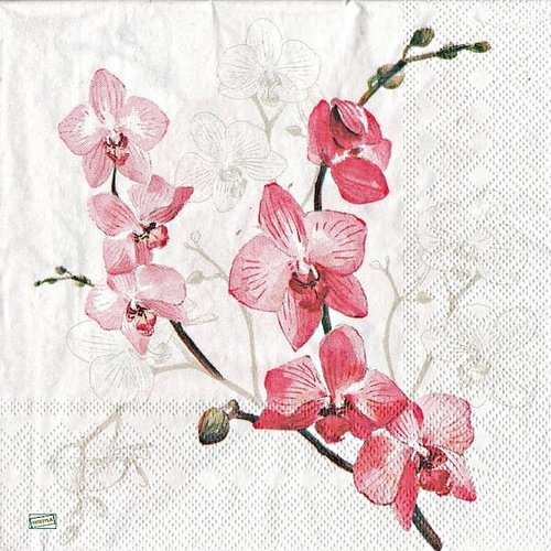 2 serviettes papier - orchidés lys -7