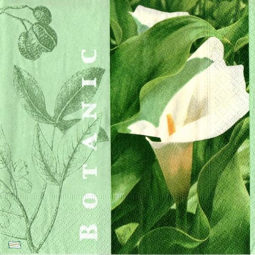 2 serviettes papier - orchidés lys -20