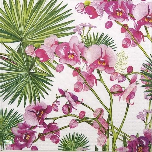 2 serviettes papier - orchidés lys -49