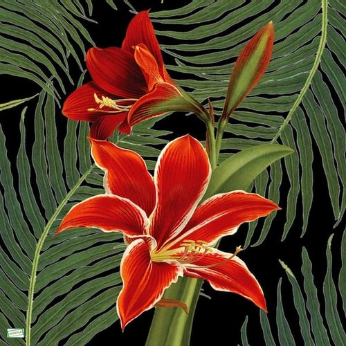 2 serviettes papier - orchidés lys -50