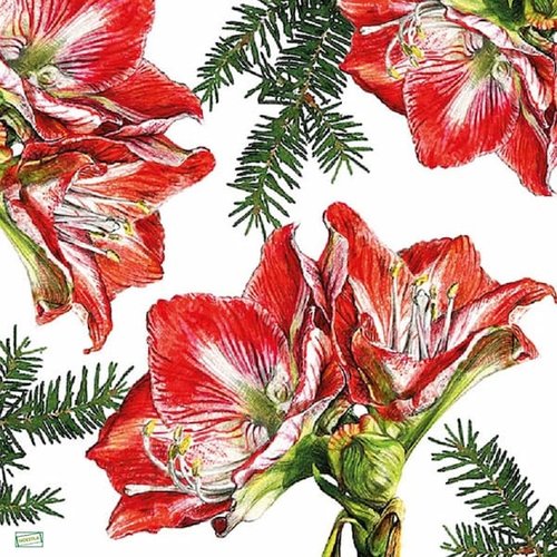 2 serviettes papier - orchidés lys -59