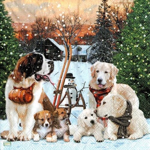 2 serviettes papier - chiens - 9