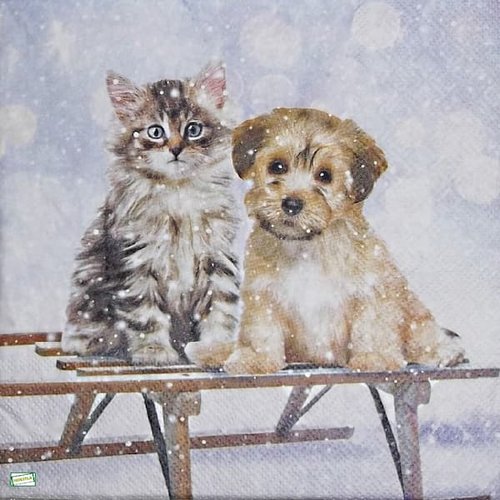 2 serviettes papier - chiens - 13