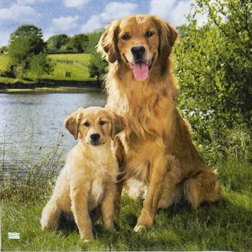 2 serviettes papier - chiens - 25