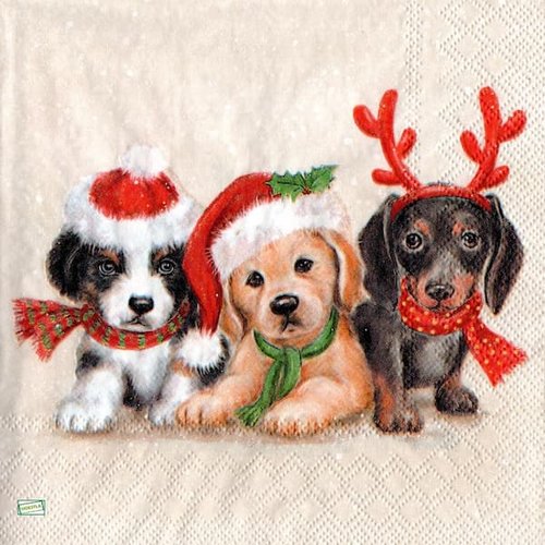 2 serviettes papier - chiens - 29