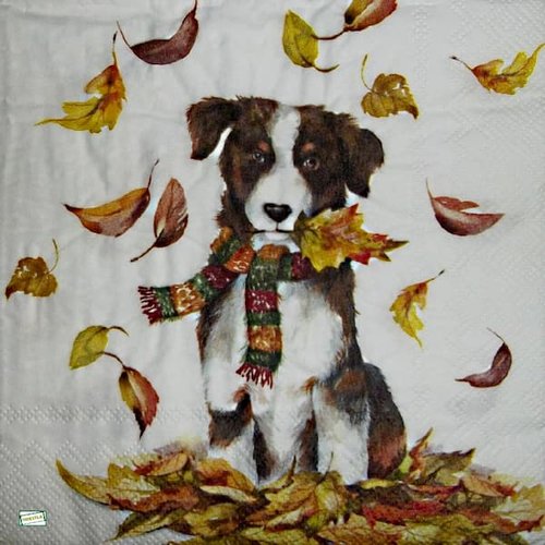 2 serviettes papier - chiens - 47