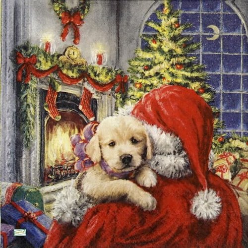 2 serviettes papier - chiens - 51