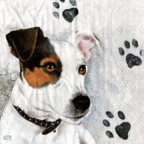 2 serviettes papier - chiens - 52
