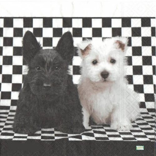 2 serviettes papier - chiens - 53
