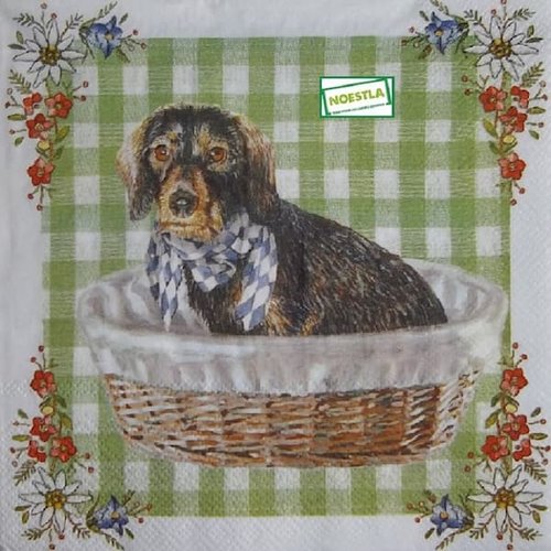 2 serviettes papier - chiens - 60