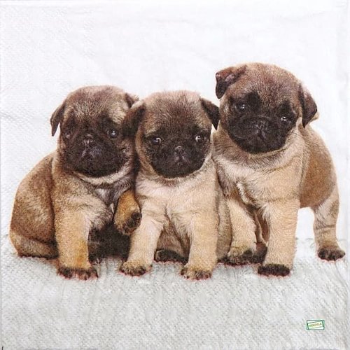 2 serviettes papier - chiens - 67