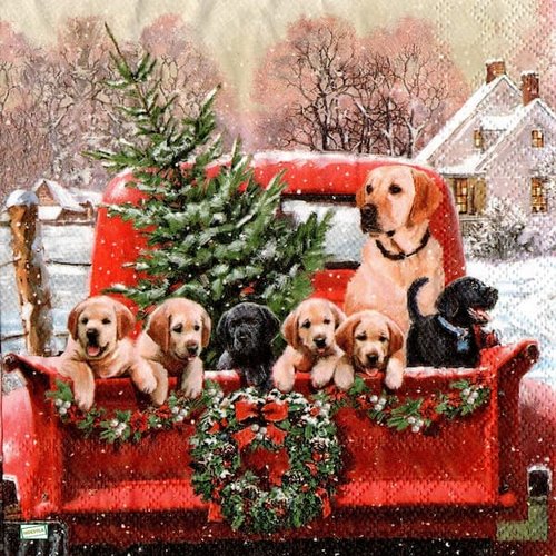 2 serviettes papier - chiens - 69