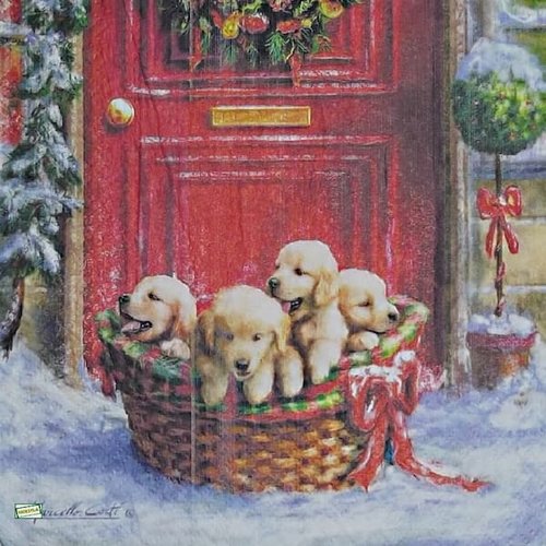 2 serviettes papier - chiens - 72