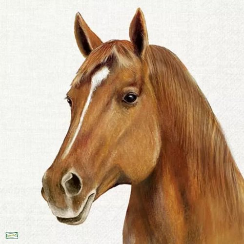 2 serviettes papier - les chevaux -4