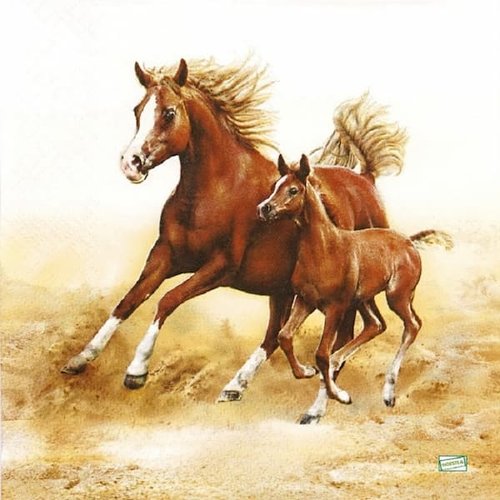 2 serviettes papier - les chevaux -20