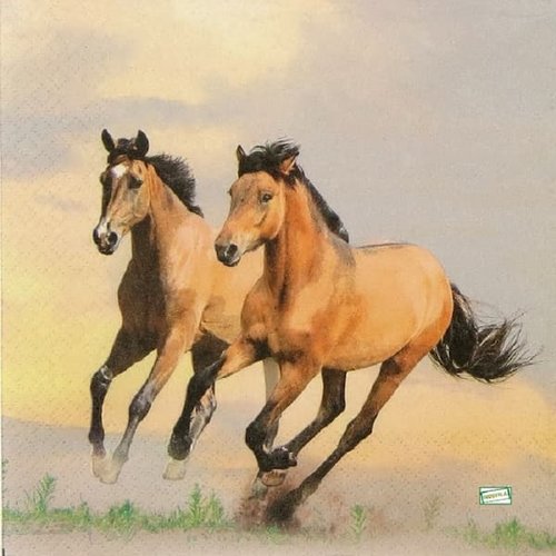 2 serviettes papier - les chevaux -34