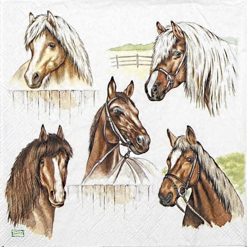 2 serviettes papier - les chevaux -38