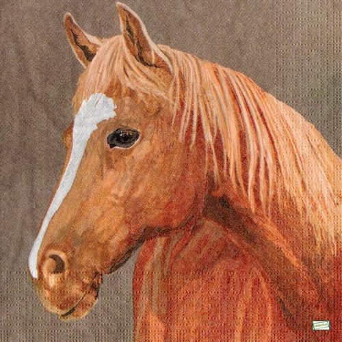 2 serviettes papier - les chevaux -41