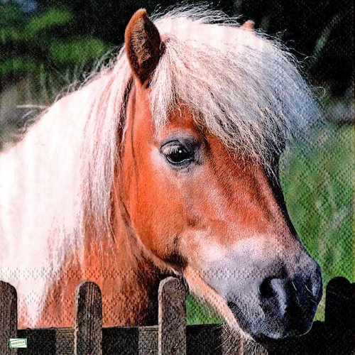 2 serviettes papier - les chevaux -43
