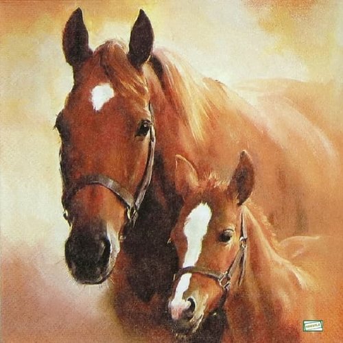 2 serviettes papier - les chevaux -45