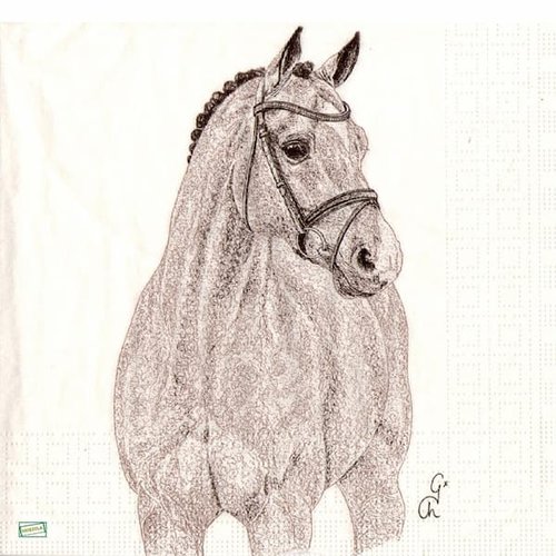 2 serviettes papier - les chevaux -52