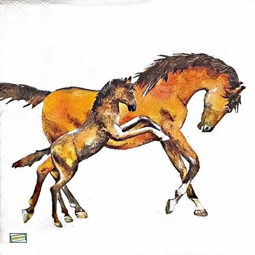 2 serviettes papier - les chevaux -57