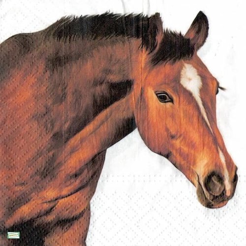2 serviettes papier - les chevaux -60